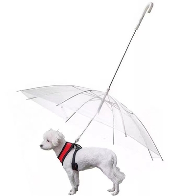 透き通る 傘 で 犬 を 濡ら さ ない よう に する